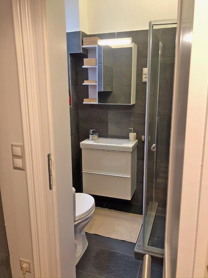 Modern Comfort In Historical Budapeszt Zewnętrze zdjęcie